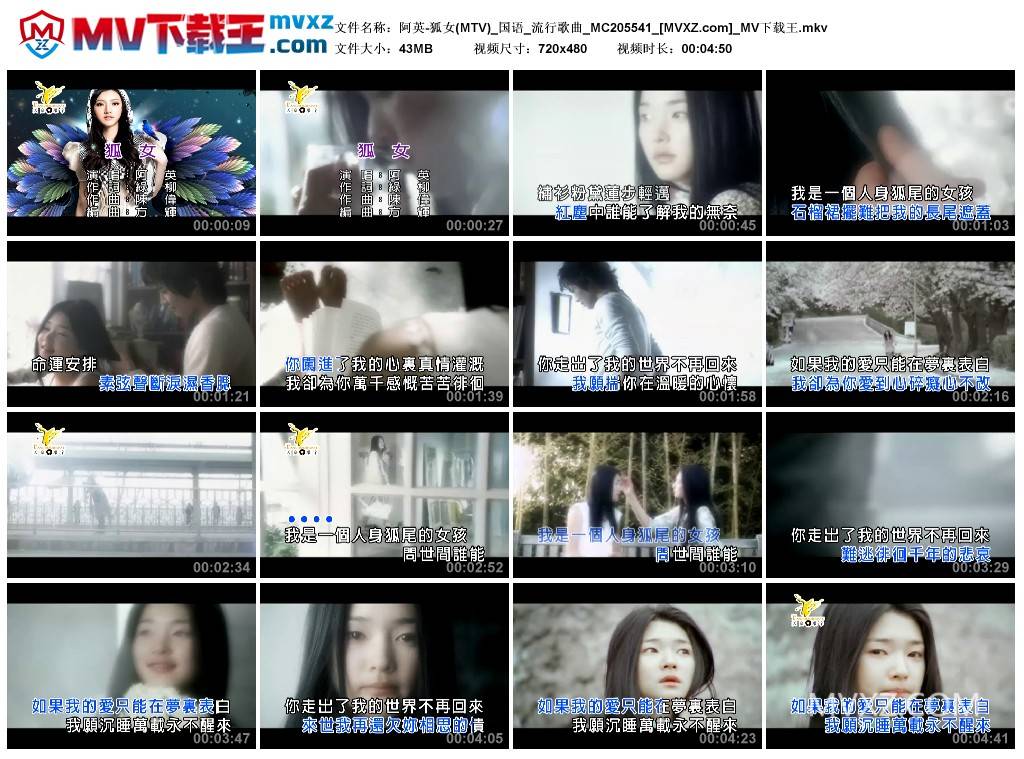 阿英-狐女(MTV)_国语_流行歌曲_MC205541